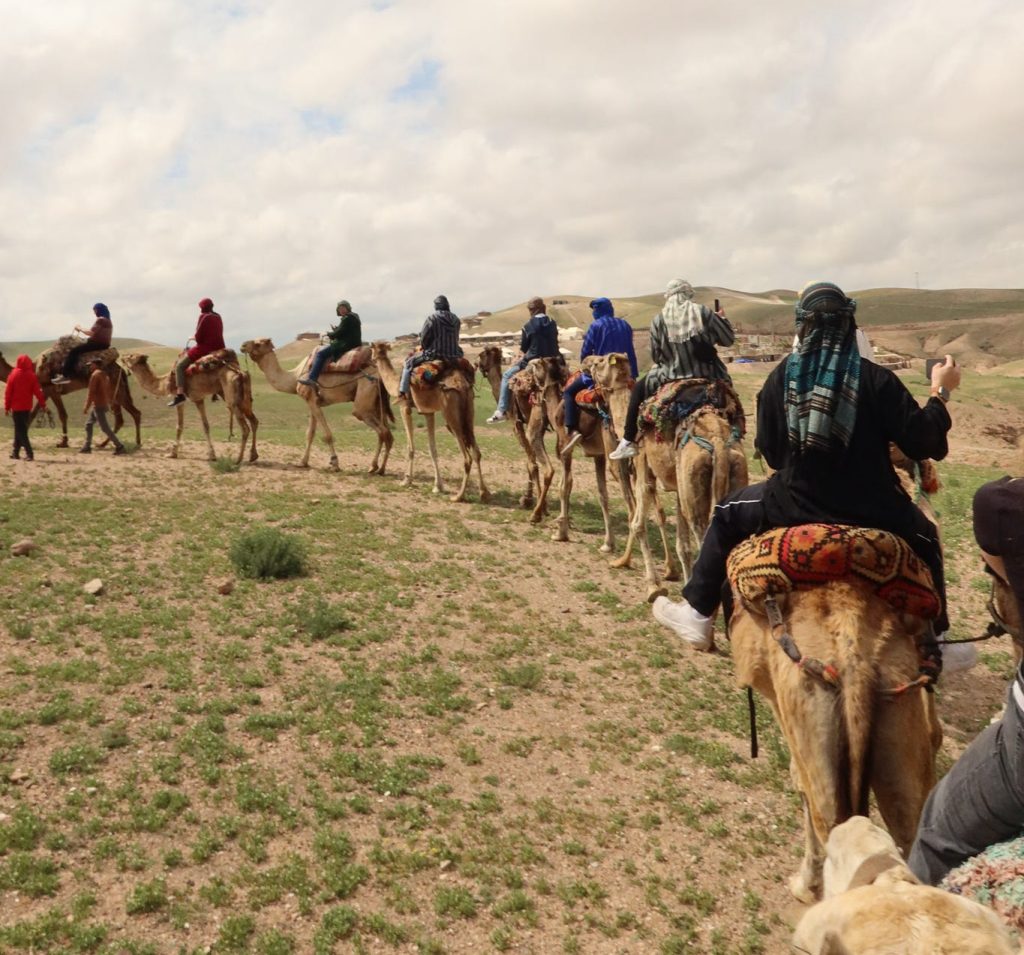 Camel Ride in Marrakech, Morocco