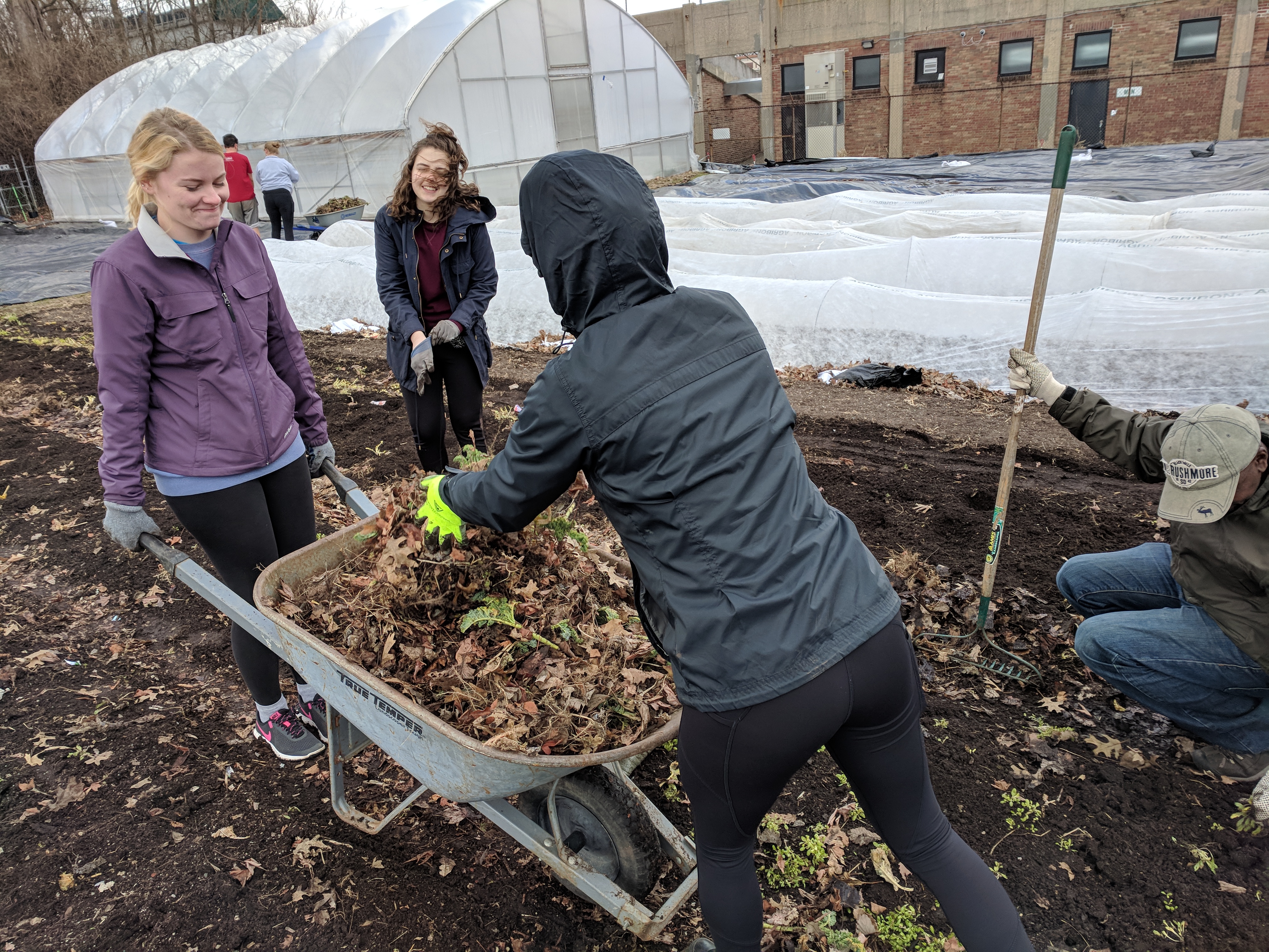 Students are clearing off the beds from any leaves or debris and transporting it to a compost.