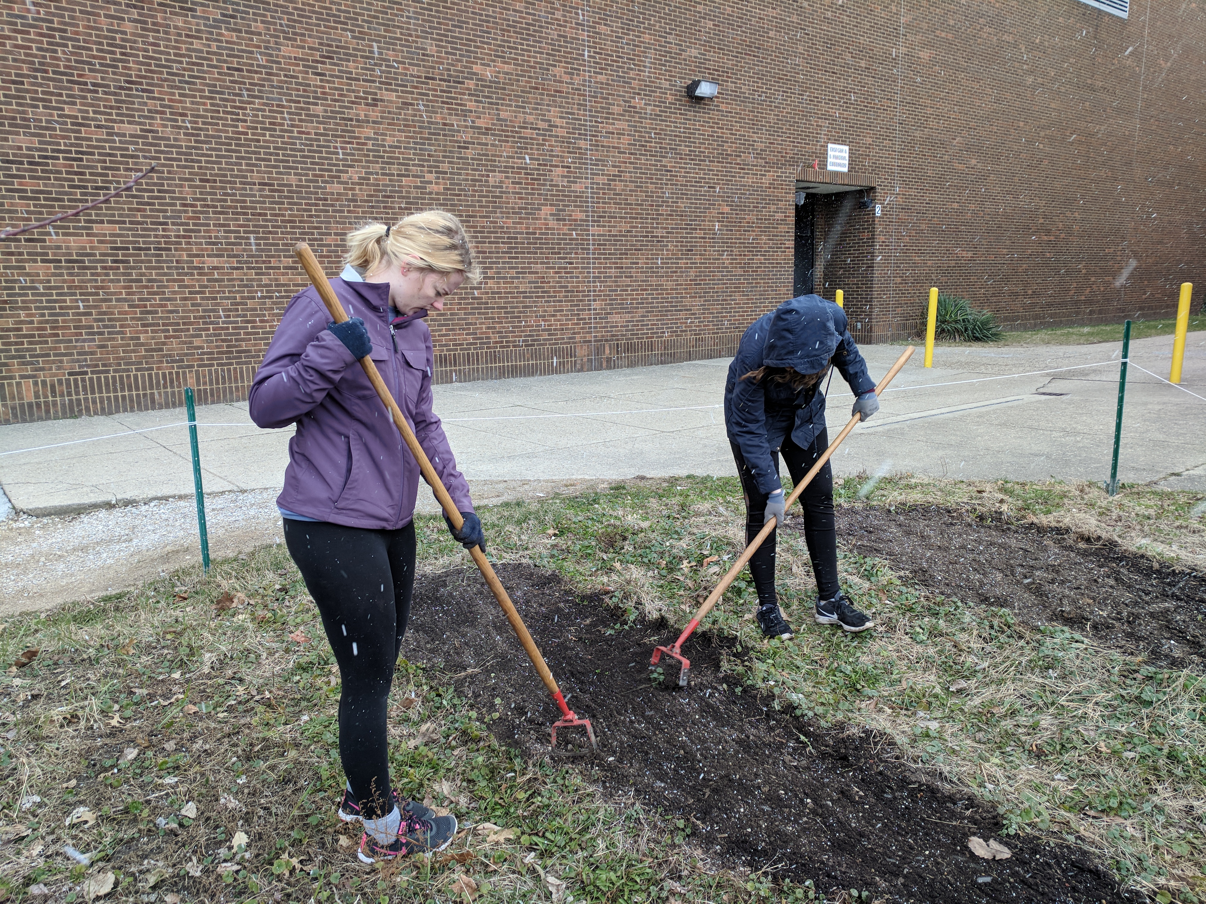 Students used hoes to freshen the top layer of the soil.