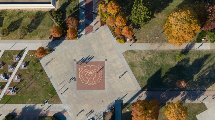 Aerial shot of Bear head bricks.