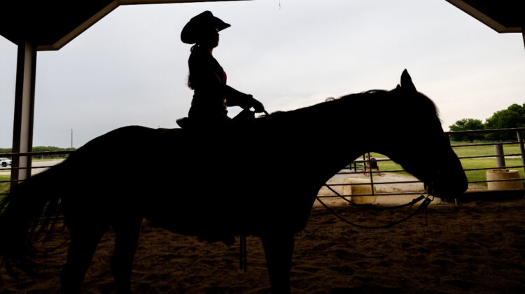 Silhouette of horseback rider.