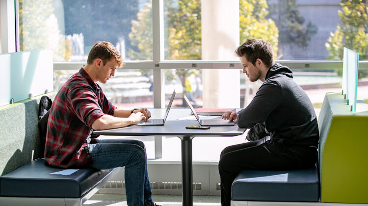 Students study in Meyer Library