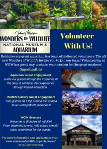 Wonders of Wildlife volunteer info sheet