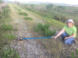Kelley handles a snake during field research.