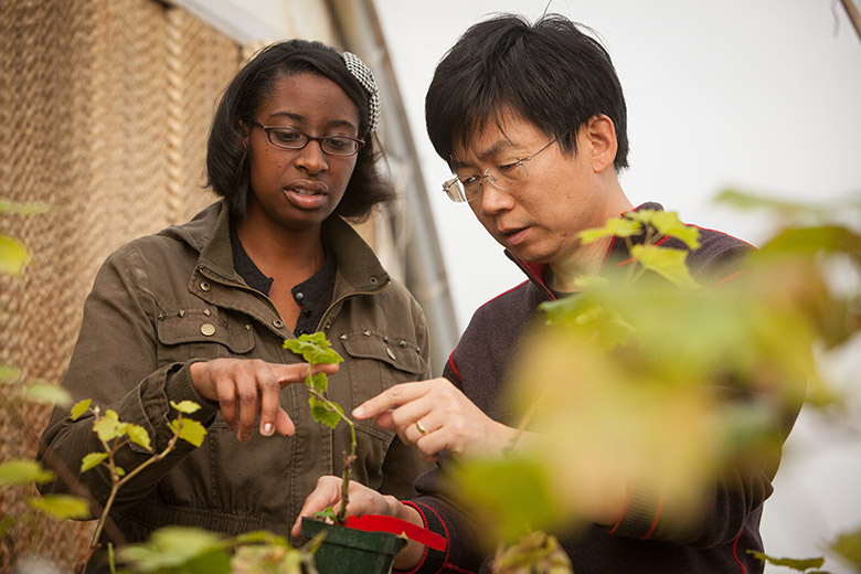 Dr. Qiu working with student