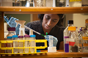 Student working in lab
