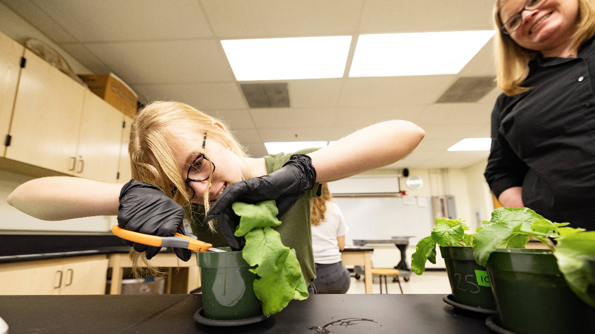 Student clips leaves in lab as Melissa Bledsoe supervises. 