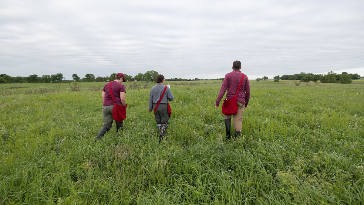 Team walks through prairie.