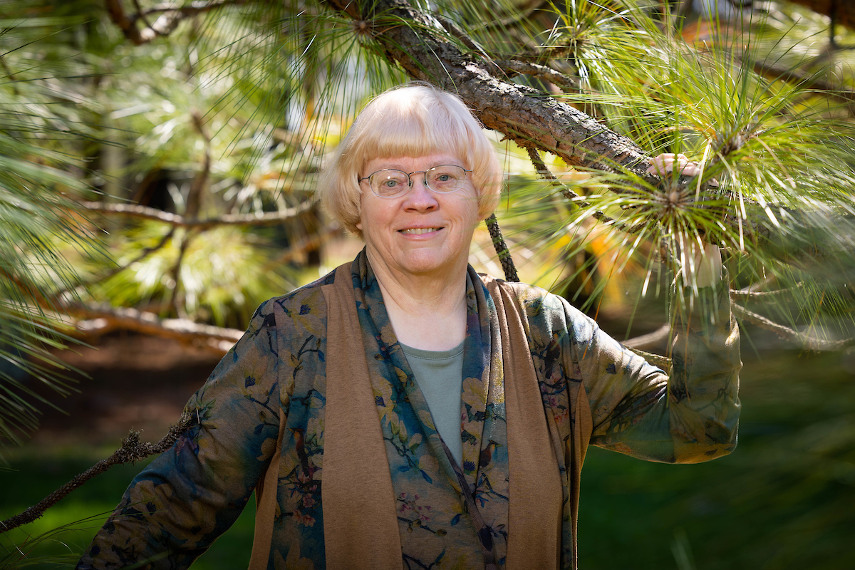 Dr. Carol Miller stands in the boughs of a long-leaf pine.