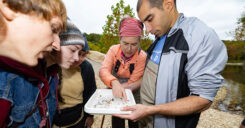 Dr. Finn and her students study a river critter on a tray. The previously unknown Stonefly is a species that was discovered by Dr, Finn's class.