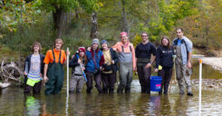 Dr. Finn and her students wade in a shallow part of the Bull Mills Creek.