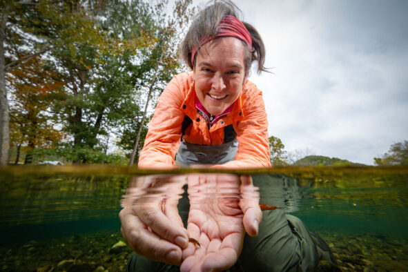 Dr. Debra Finn holds a river insect, letting it remain underwater, at the Bull Mills Creek.