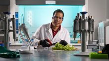 Dr. Cyren Rico, chemistry professor, uses scissors to cut up lettuce at a worktable in his lab.