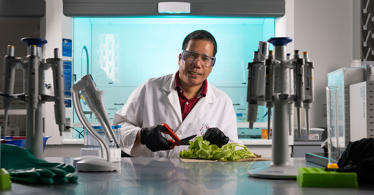 Dr. Cyren Rico, chemistry professor, uses scissors to cut up lettuce at a worktable in his lab.