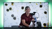 Dr. Lacy Sukovaty uses a microscope to study parasites that are prevalent in small animals.