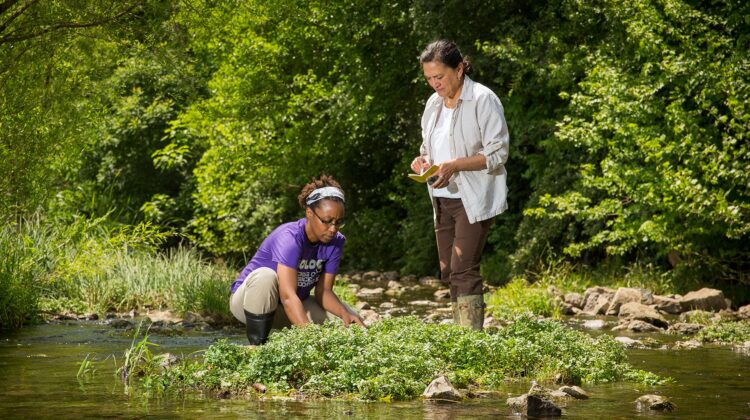 Dr. Gutierrez and a student collecting samples in a stream.