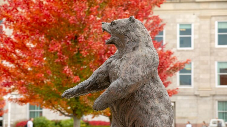 MSU's bear statue