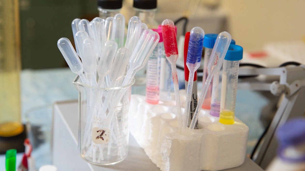 An array of test tubes rest on table in lab.