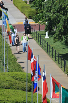 Avenue of flags