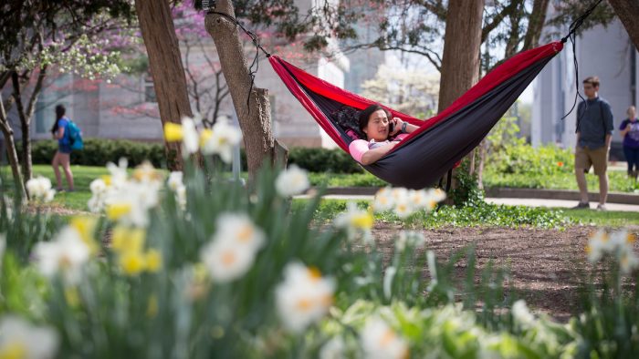 Student in hammock in spring