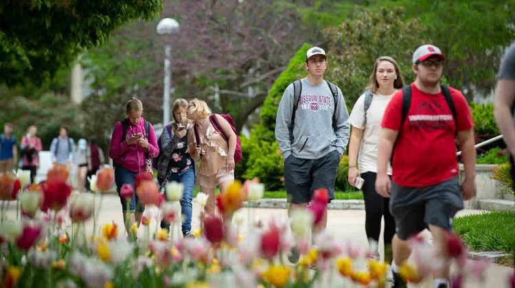 Students walk on campus