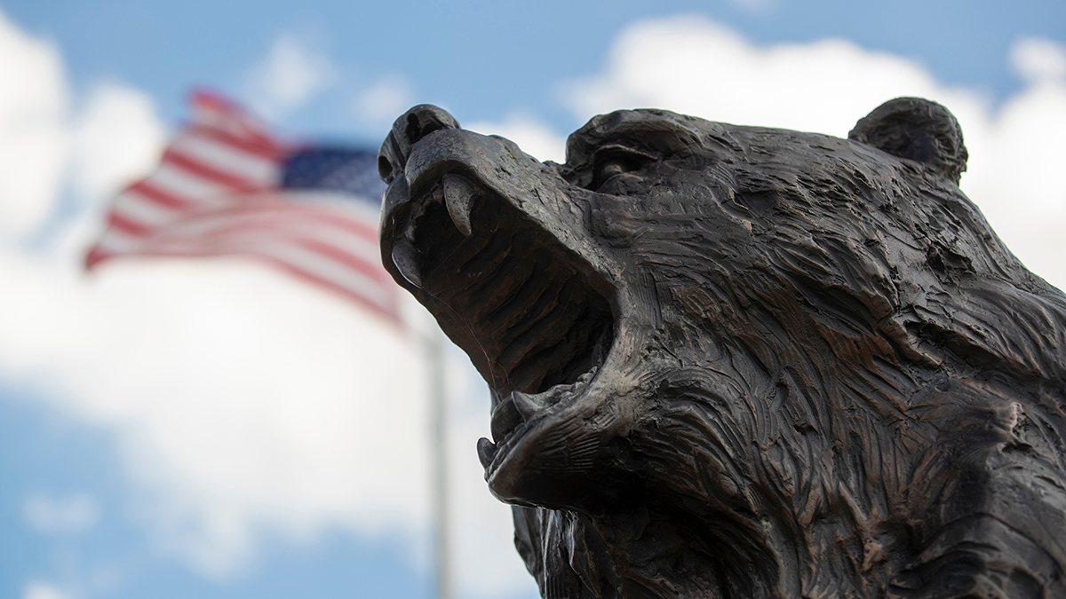 Bear statue by American flag