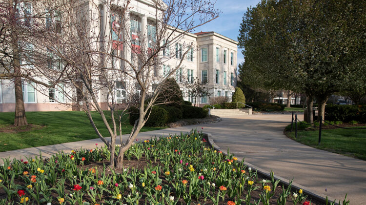 Tulips bloom in front of Carrington Hall