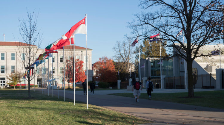 Campus sidewalk is lined with flags from around the world.