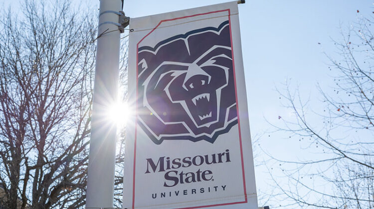 A Missouri State banner with the Bear head logo in it.