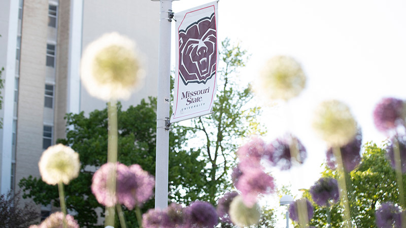 An MSU banner with a Bear head logo.