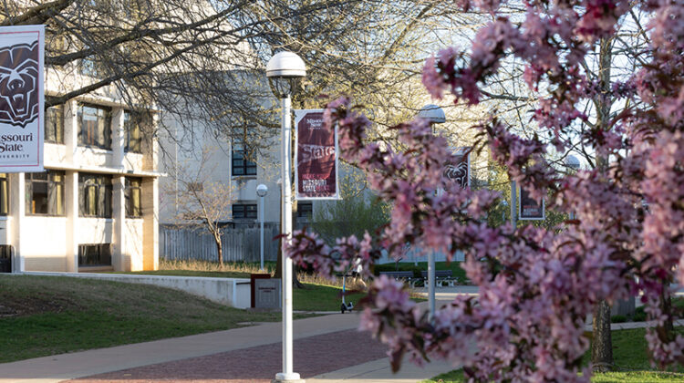 Beautiful pink flowers and MSU banners on campus.