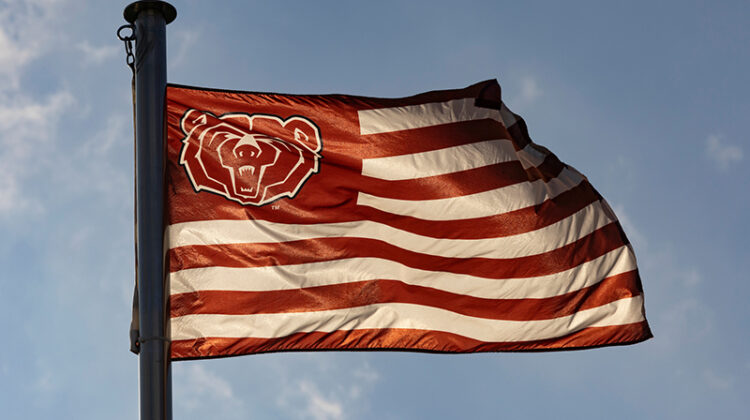 The MSU Bear head flag.