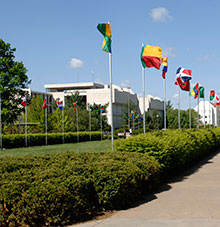 international flags flying in west mall of campus