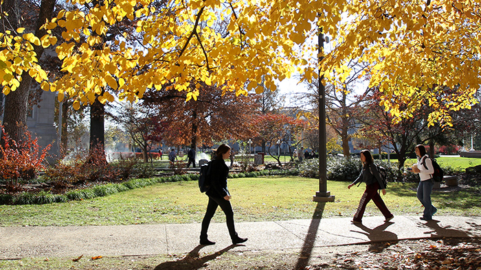 students walking on sidewalk during fall