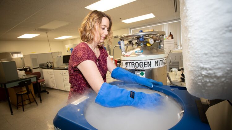 Dr. Amy Hulme working in her lab