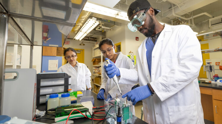 Dr. Tuhina Banerjee watches as graduate students work with equipment in her lab.