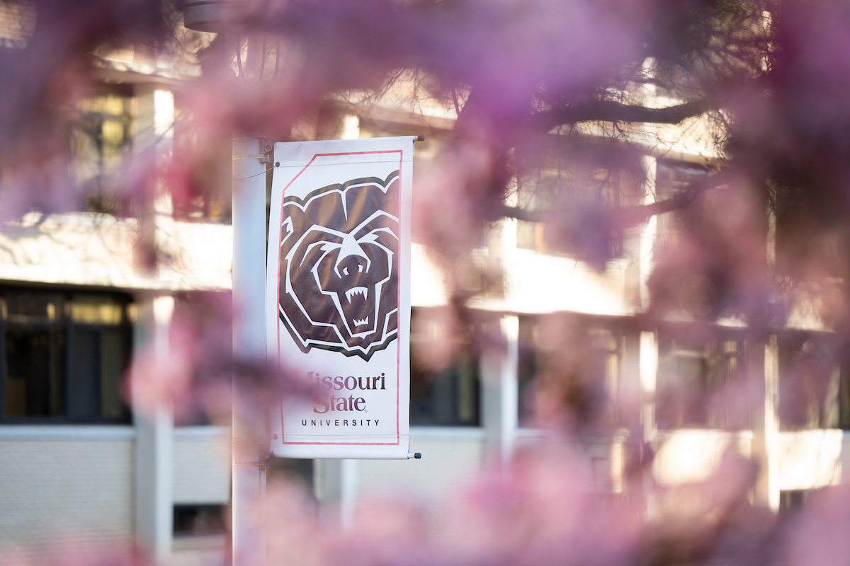 Bear Head flag, along the Kings Street Promenade on the campus of Missouri State University