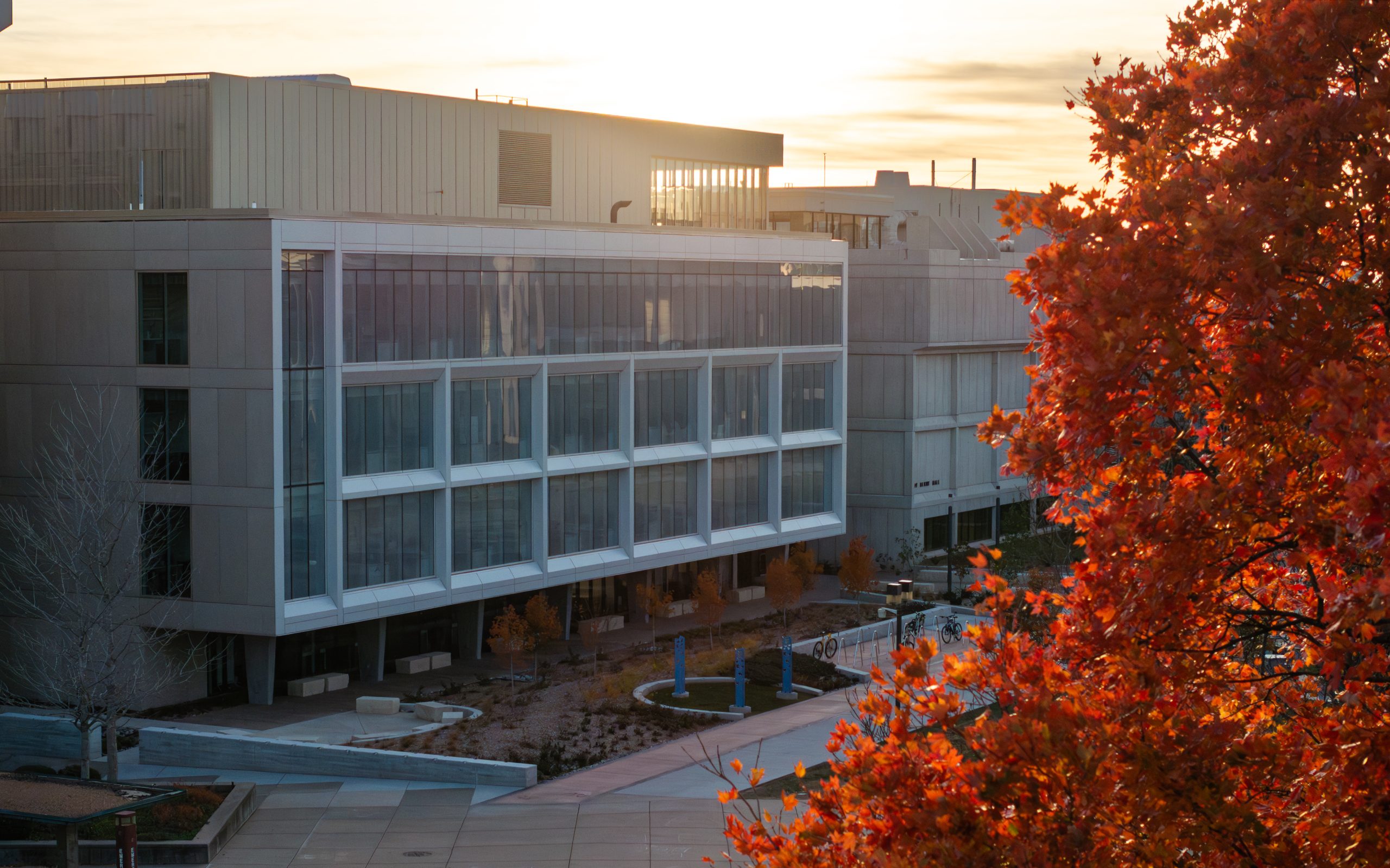 Mo State's Roy Blunt Hall, as seen from an aerial view with fall foliage in the foreground