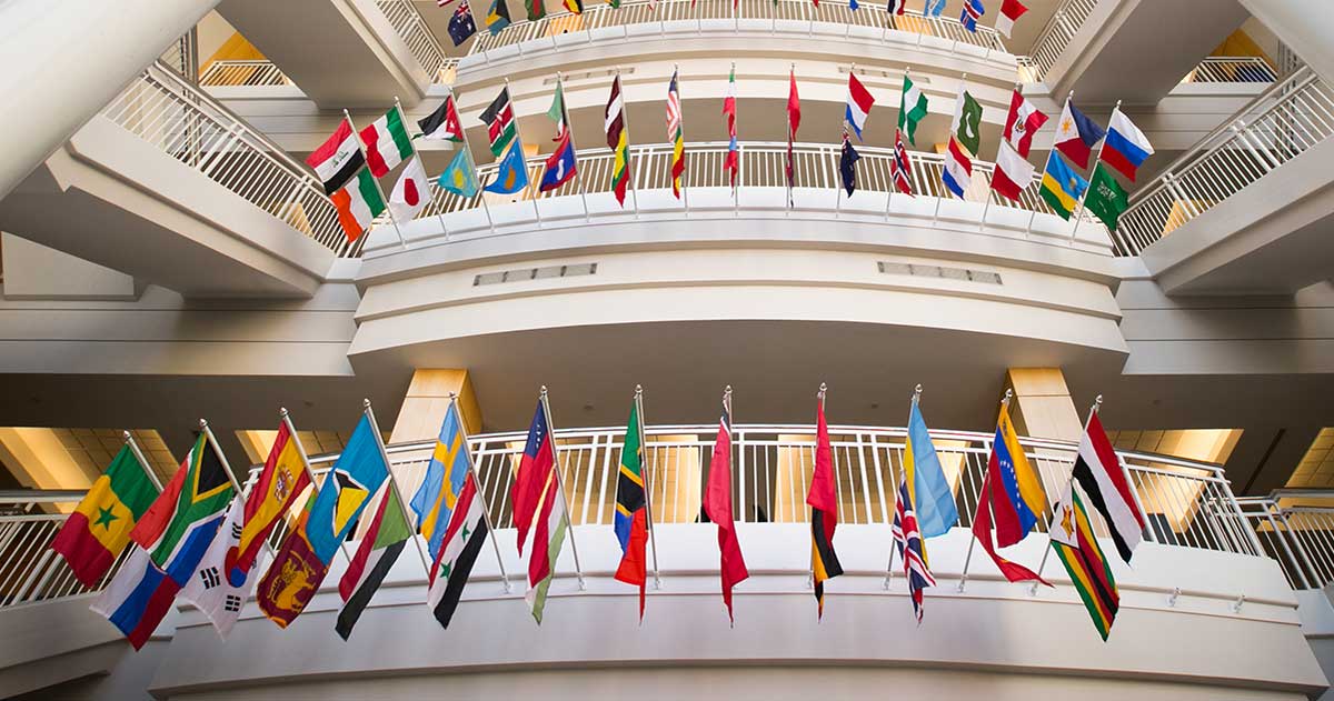 Photo of multiple flags in Strong Hall at MSU