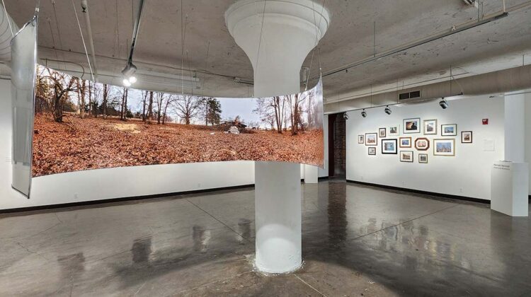 Panoramic view of art exhibition