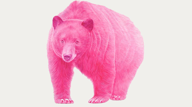 Art work of large pink bear.