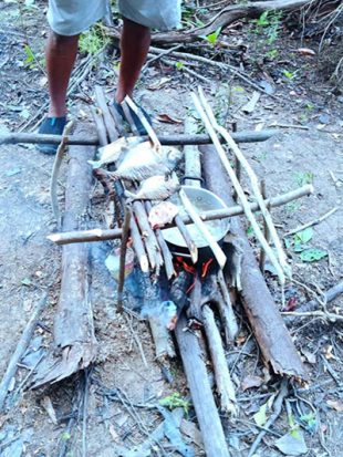 Piranha being cooked over an open fire