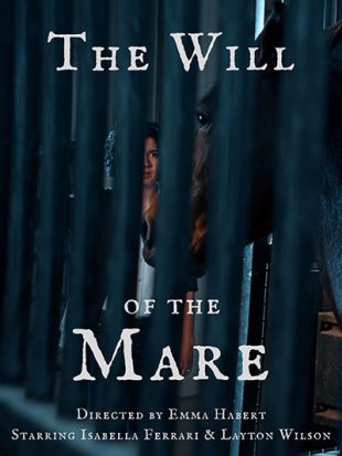 Movie poster of The Will of the Mare depicting a woman and a horse 