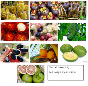 Bali Fruit