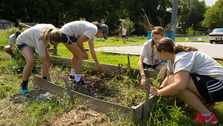 students dig in garden