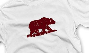 Be a Bear shirt avatar