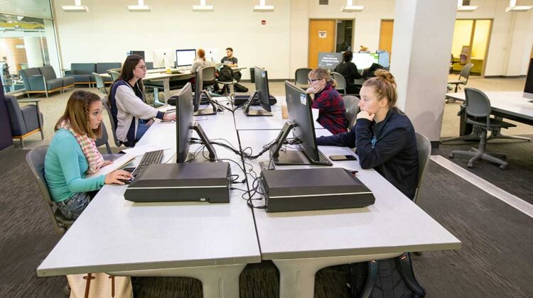 Students using a computer lab in Meyer Library.