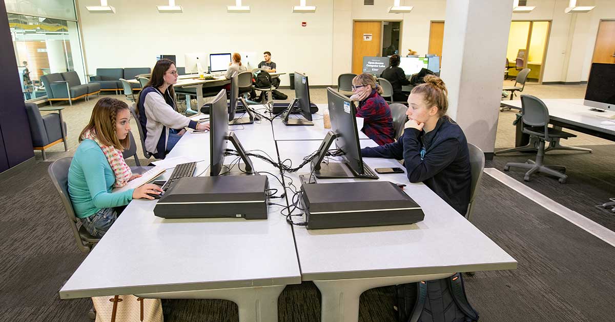 Students using a computer lab in Meyer Library.